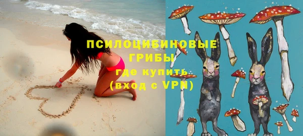 ГАЛЛЮЦИНОГЕННЫЕ ГРИБЫ Абдулино